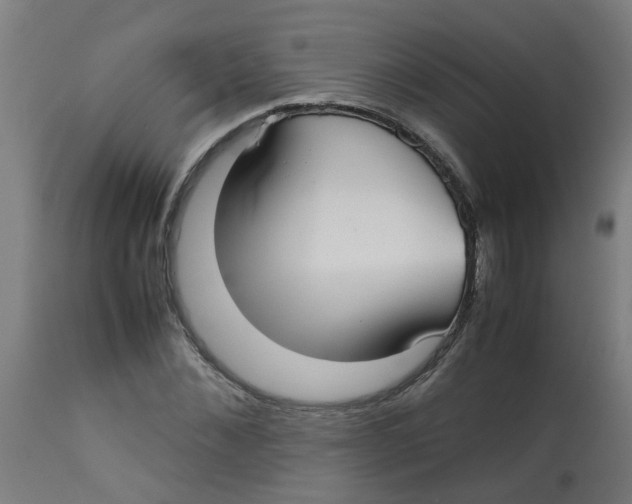 X0000113210876200910081314