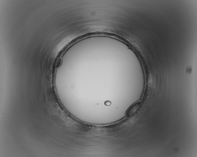 X0000113210877200910081314