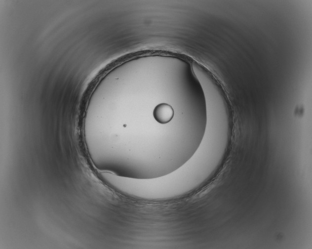 X0000113210880200910081314