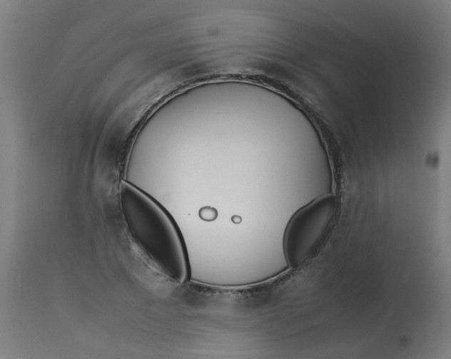 X0000113210881200910081314