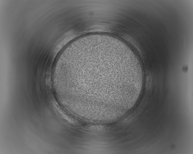 X0000113210882200910081314