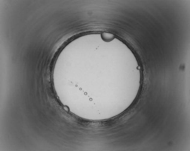 X0000113210883200910081314