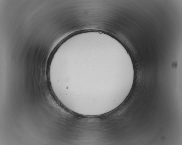 X0000113210884200910081314