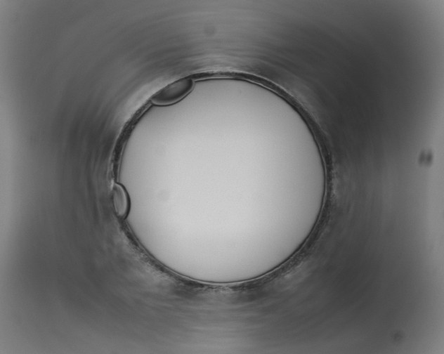 X0000113210885200910081314