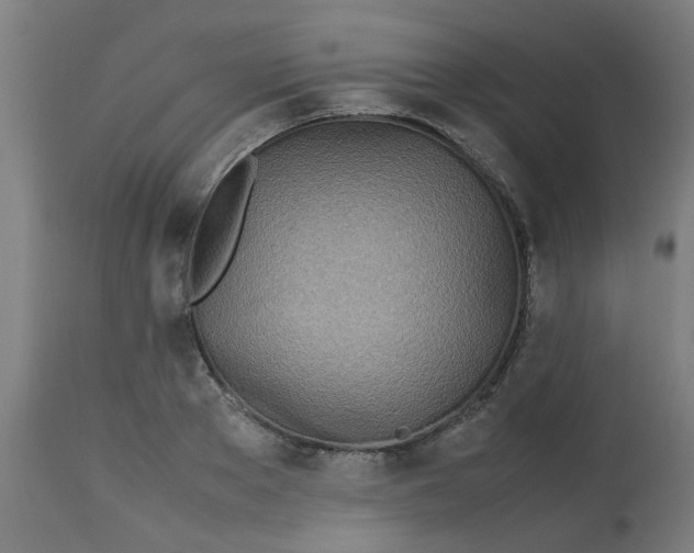 X0000113210889200910081314