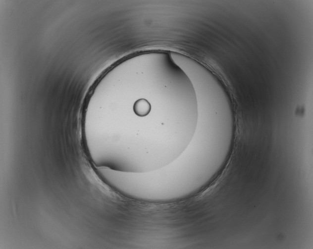 X0000113210892200910081314