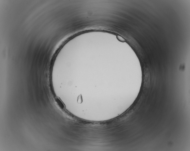 X0000113210896200910081314