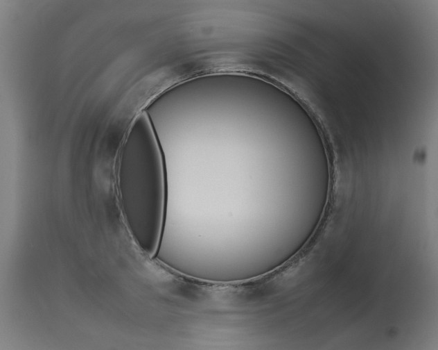 X0000113210897200910081314