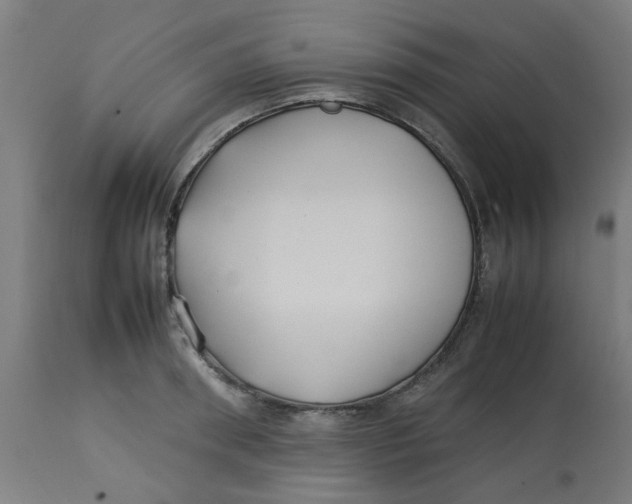 X0000113210898200910081314