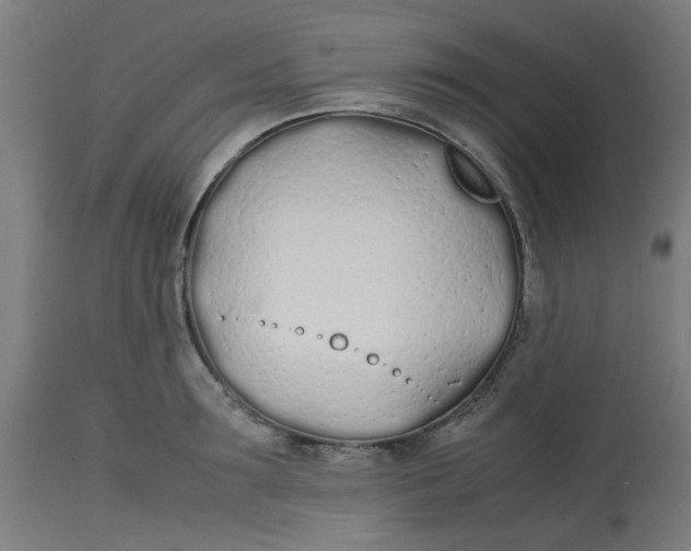 X0000113210899200910081314