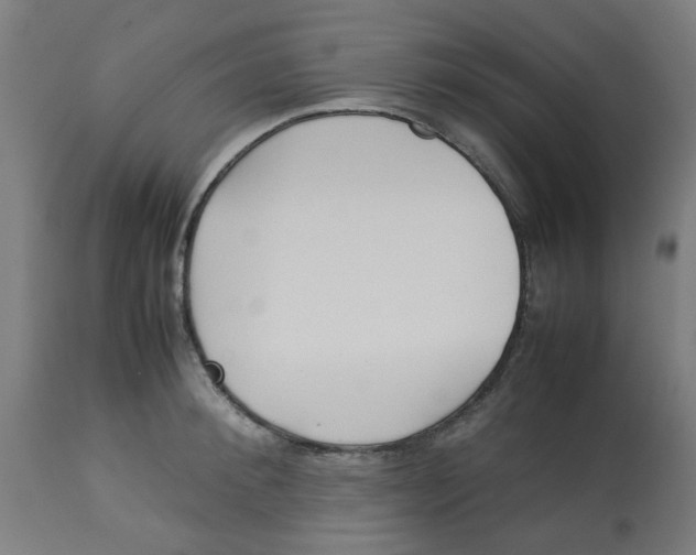 X0000113210900200910081314