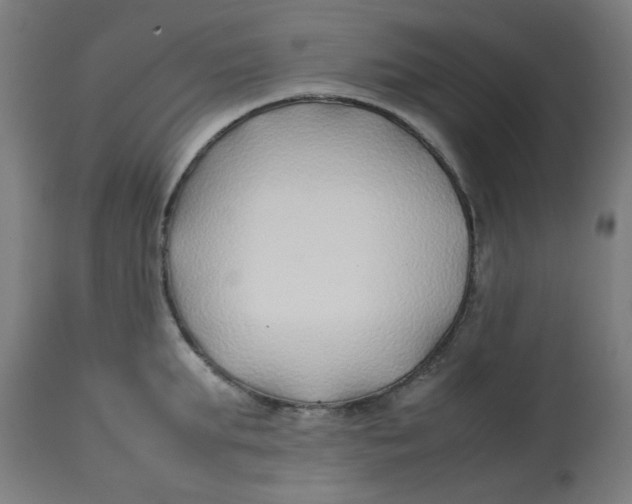 X0000113210903200910081314