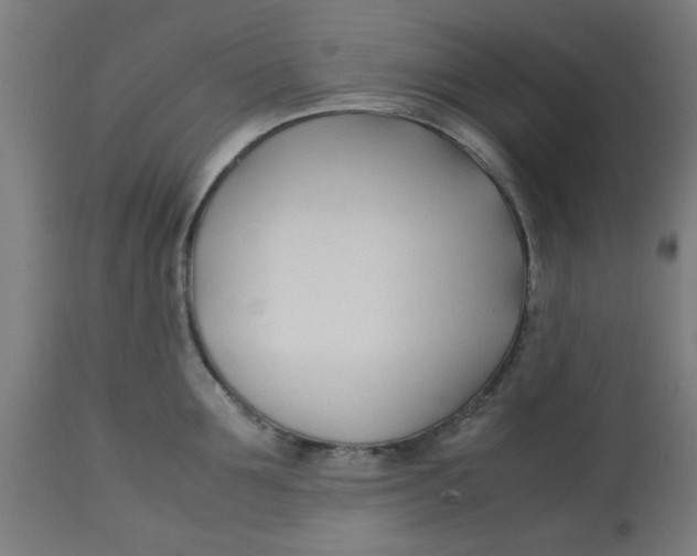 X0000113210907200910081313