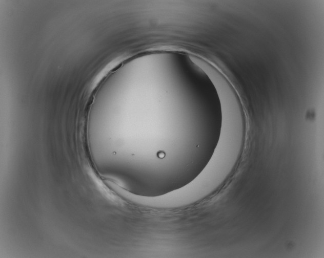 X0000113210909200910081313