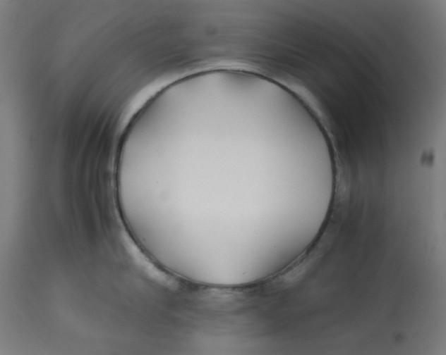 X0000113210910200910081313