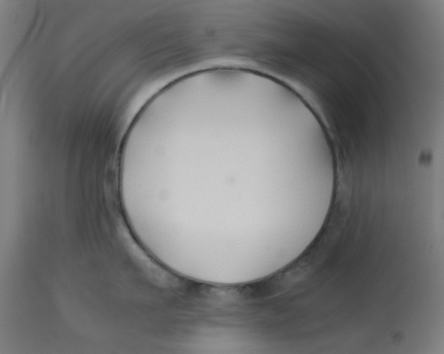 X0000113210911200910081313