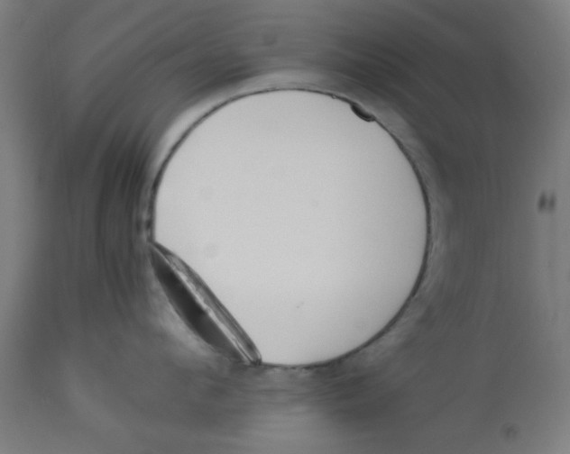 X0000113210912200910081313