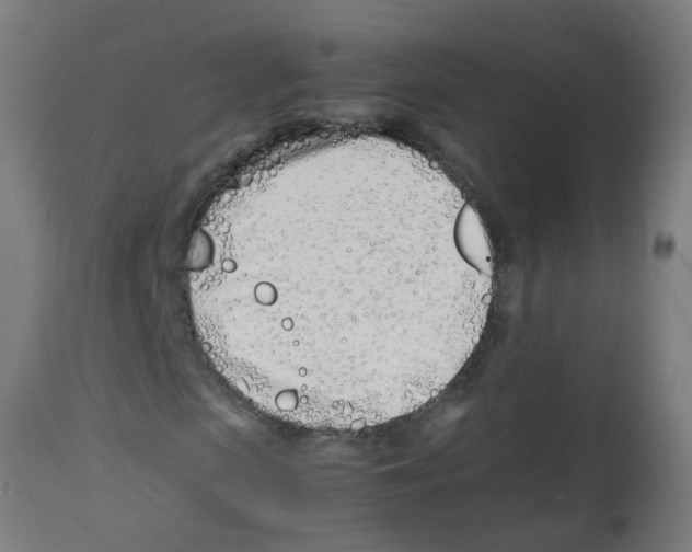 X0000113210913200910081313