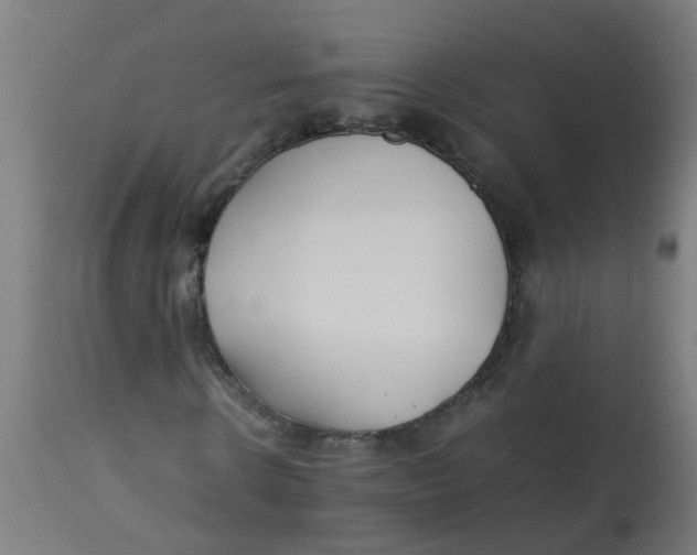 X0000113210914200910081313