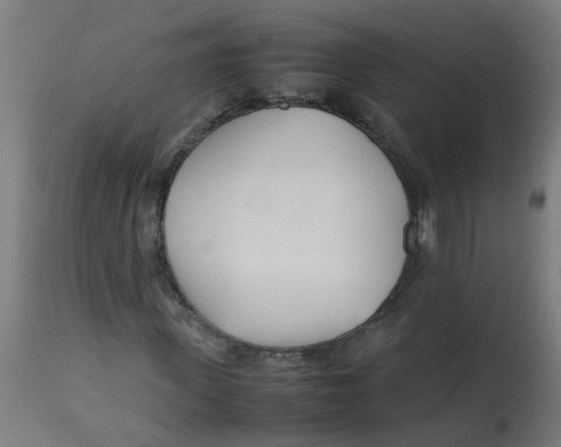 X0000113210915200910081313