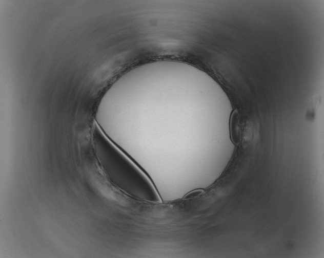 X0000113210916200910081313