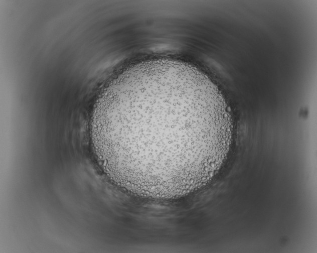 X0000113210917200910081313