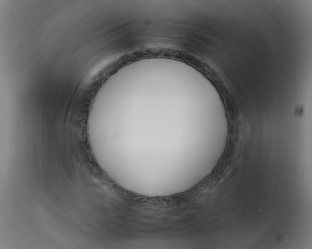 X0000113210919200910081313