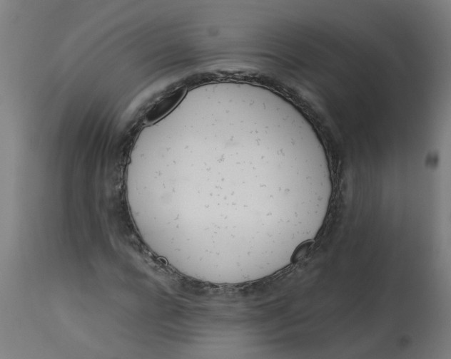 X0000113210920200910081313