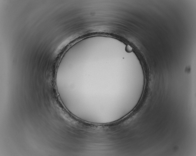 X0000113210922200910081313