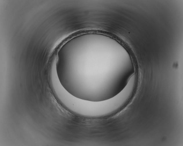 X0000113210925200910081313