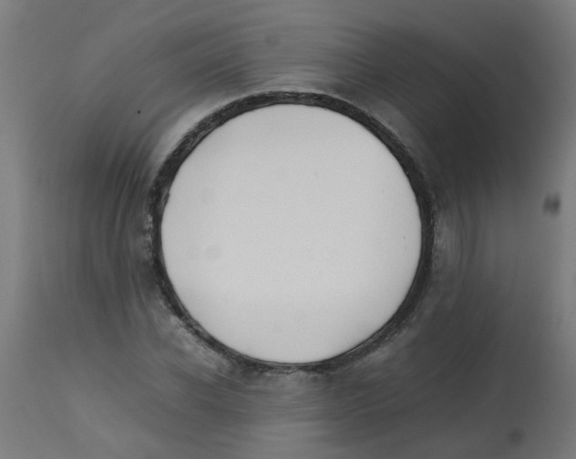 X0000113210926200910081313