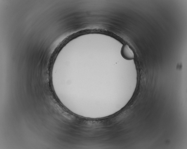 X0000113210927200910081313