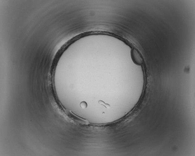 X0000113210928200910081313