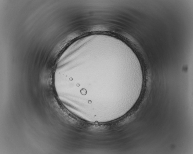 X0000113210929200910081313