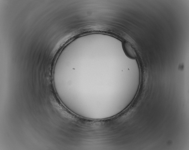 X0000113210930200910081313