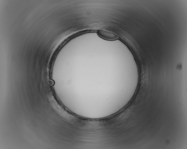 X0000113210932200910081313