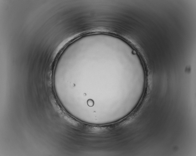 X0000113210933200910081313