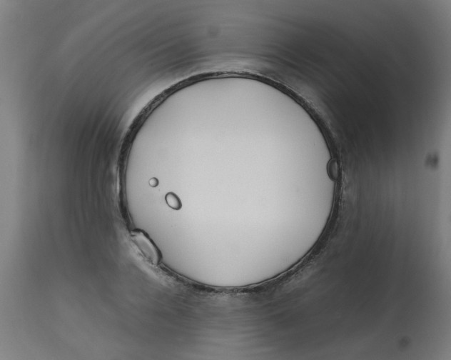 X0000113210936200910081313