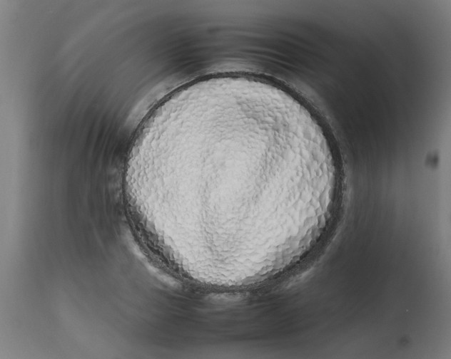 X0000113210937200910081313