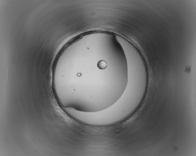 X0000113210940200910081313