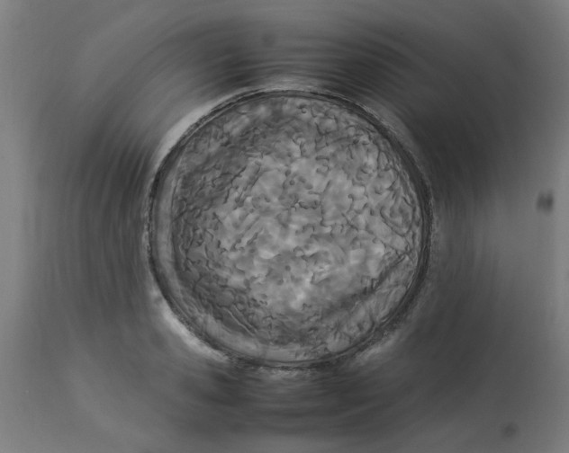 X0000113210941200910081313