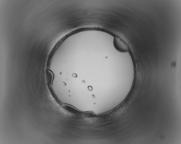 X0000113210943200910081313