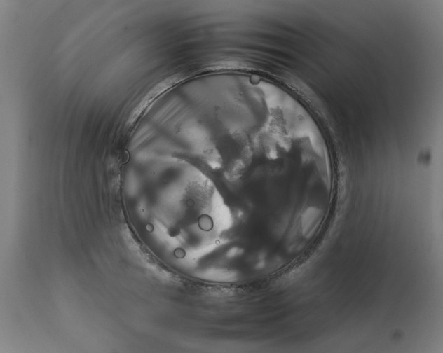 X0000113210945200910081313