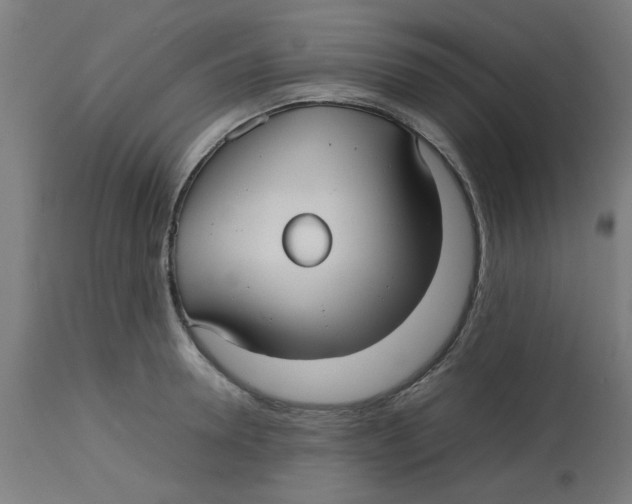 X0000113210946200910081313