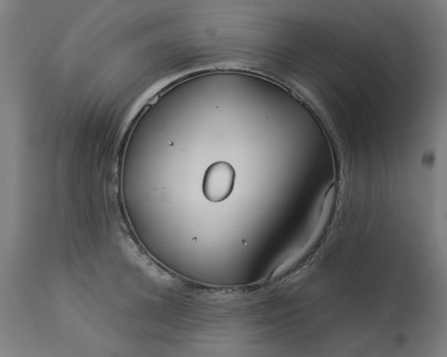 X0000113210948200910081313