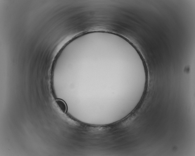 X0000113210949200910081313