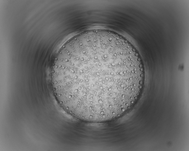 X0000113210953200910081313