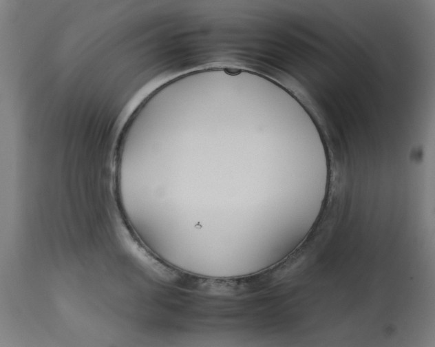 X0000113210955200910081313