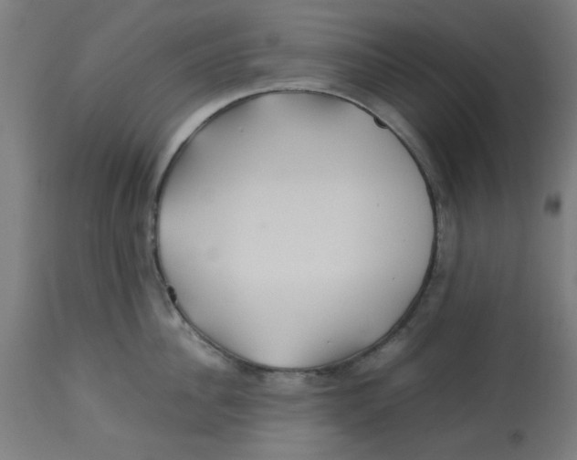 X0000113210956200910081313