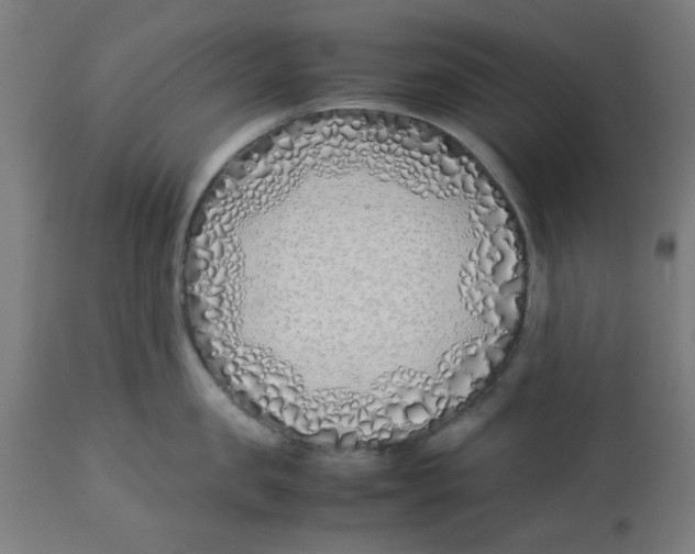 X0000113210957200910081313